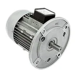 Baltur Moteur électrique 0005010262
