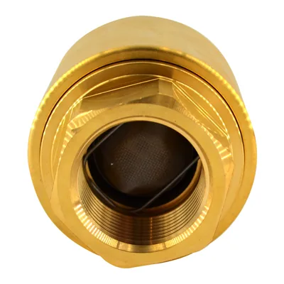 Kromschroder Válvula de gas antirretorno GRS25R 03150669