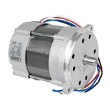 Riello Silnik elektryczny 3005845