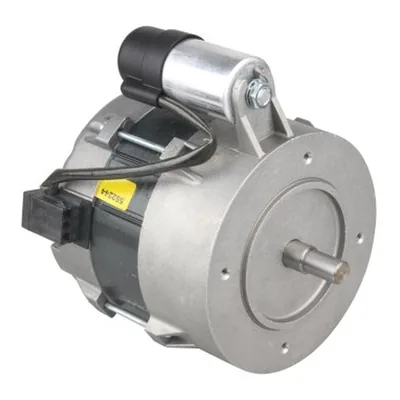 Weishaupt Motor eléctrico 652084