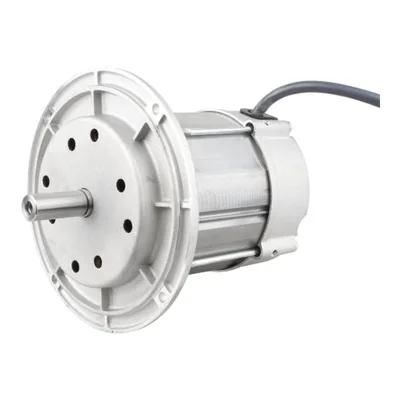Riello Motor 3003768