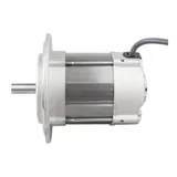 Riello Motor 3003768 — vista 2