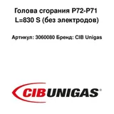 CIB Unigas Testata di combustione P72-P71 L=830 S 3060080