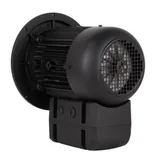 Weishaupt Motor eléctrico 21520407300 — vista 3