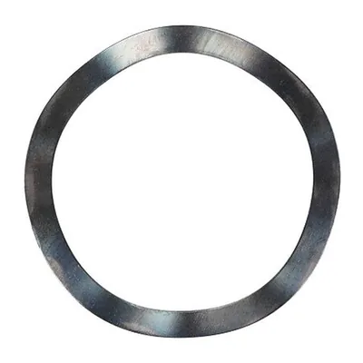 Weishaupt Disc 465004