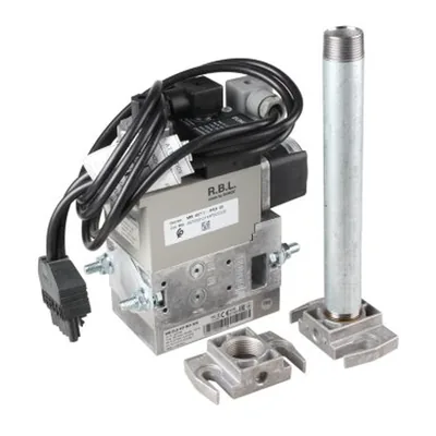 Riello Colector de gas 3970531